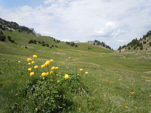 Vallon de Combeau 